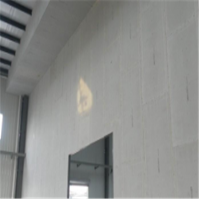 兖州新型建筑材料掺多种工业废渣的ALC|ACC|FPS模块板材轻质隔墙板